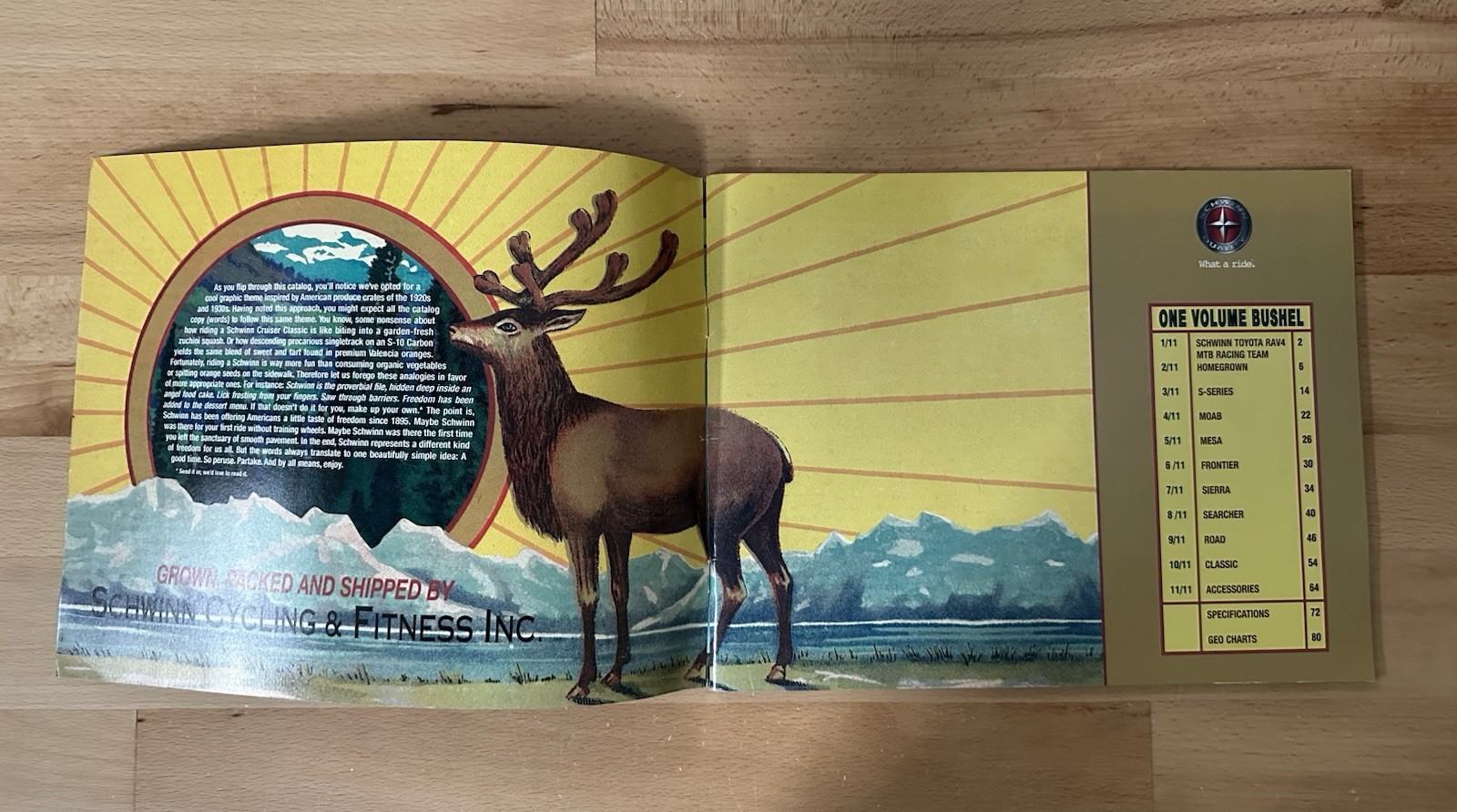 1996-2000 Vintage Schwinn Bicycle CATALOGs Lot of 5 Bundle