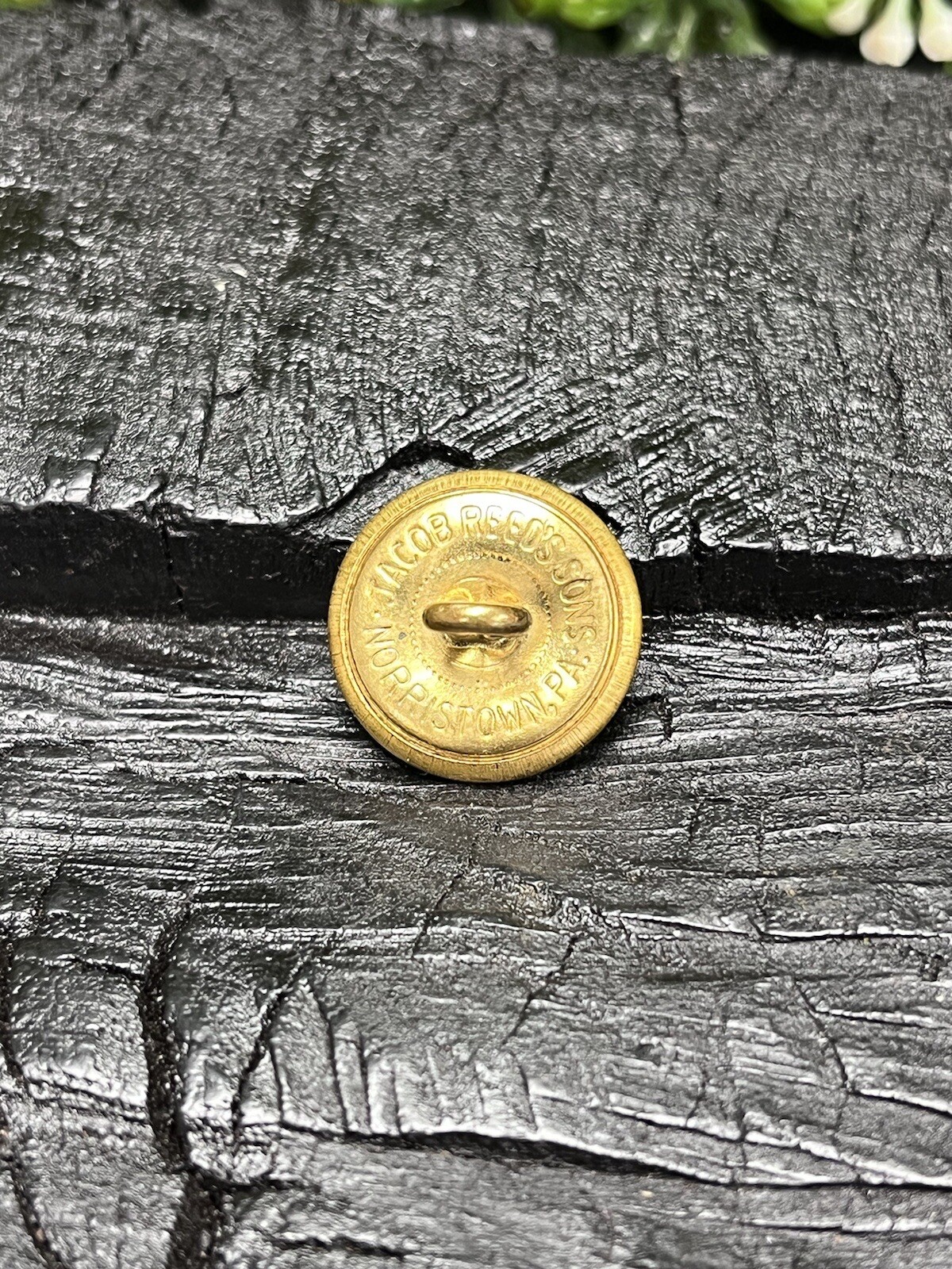 Old Rare Vintage Antique War Relic South Carolina Button Free Display Case