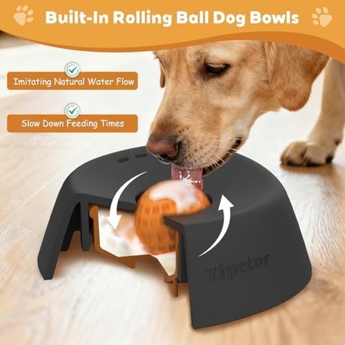 Anti-Choking Slow Feeder Dog Bowl Non-Slip 3/4 Cup - Lick Toy for Liquid Treats