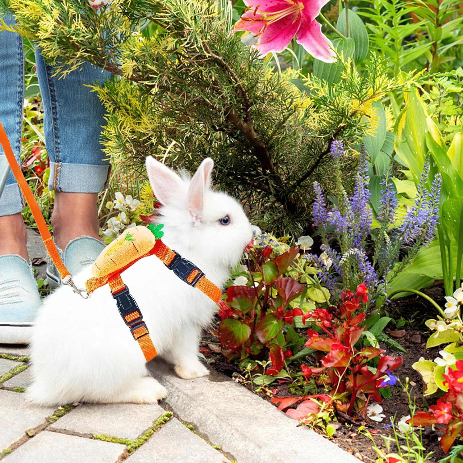 Bunny Harness and Leash for Rabbits,2 Pack Adjustable Bunny Harness,Cute Vest
