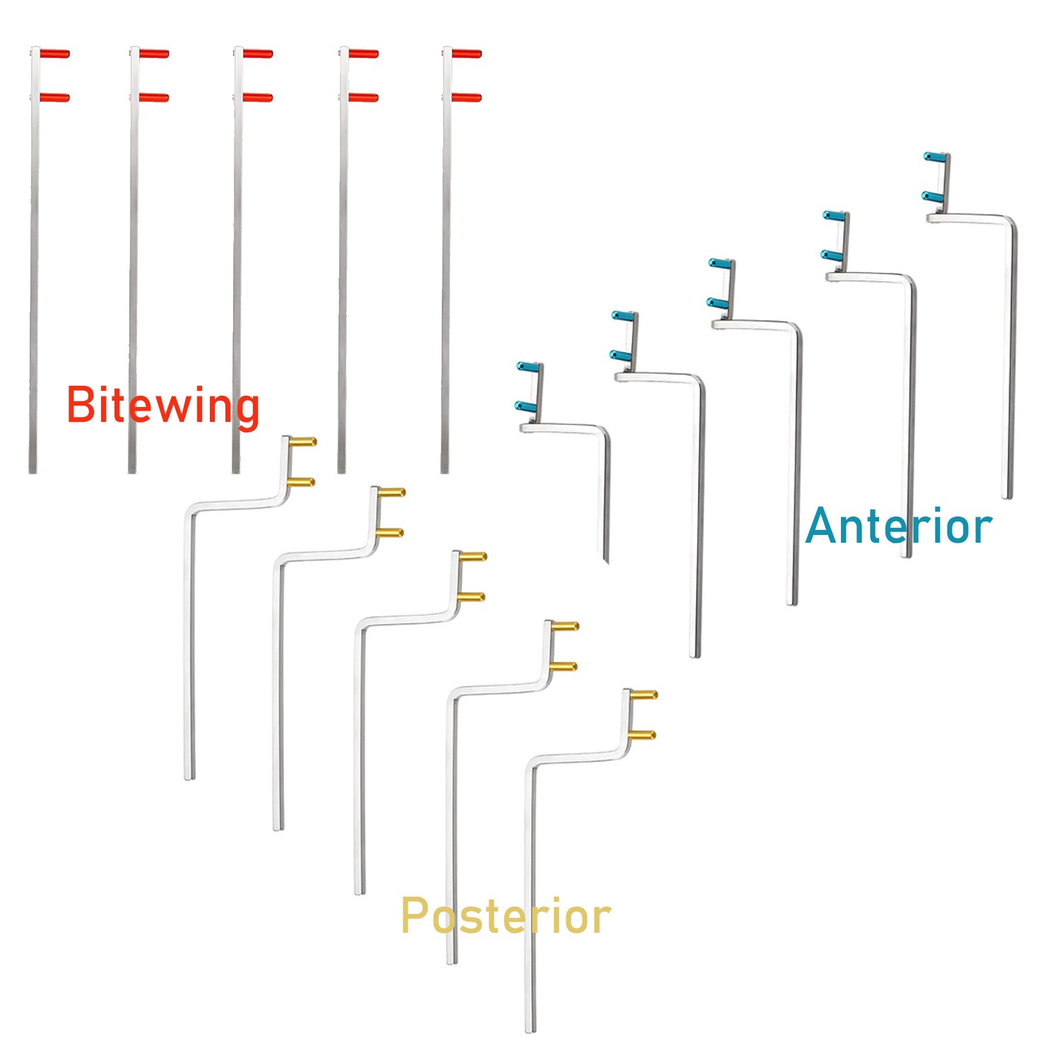 5x Dental X-Ray Xray Bitewing/Anterior/Posterior Arms Kit Positioner Holder US