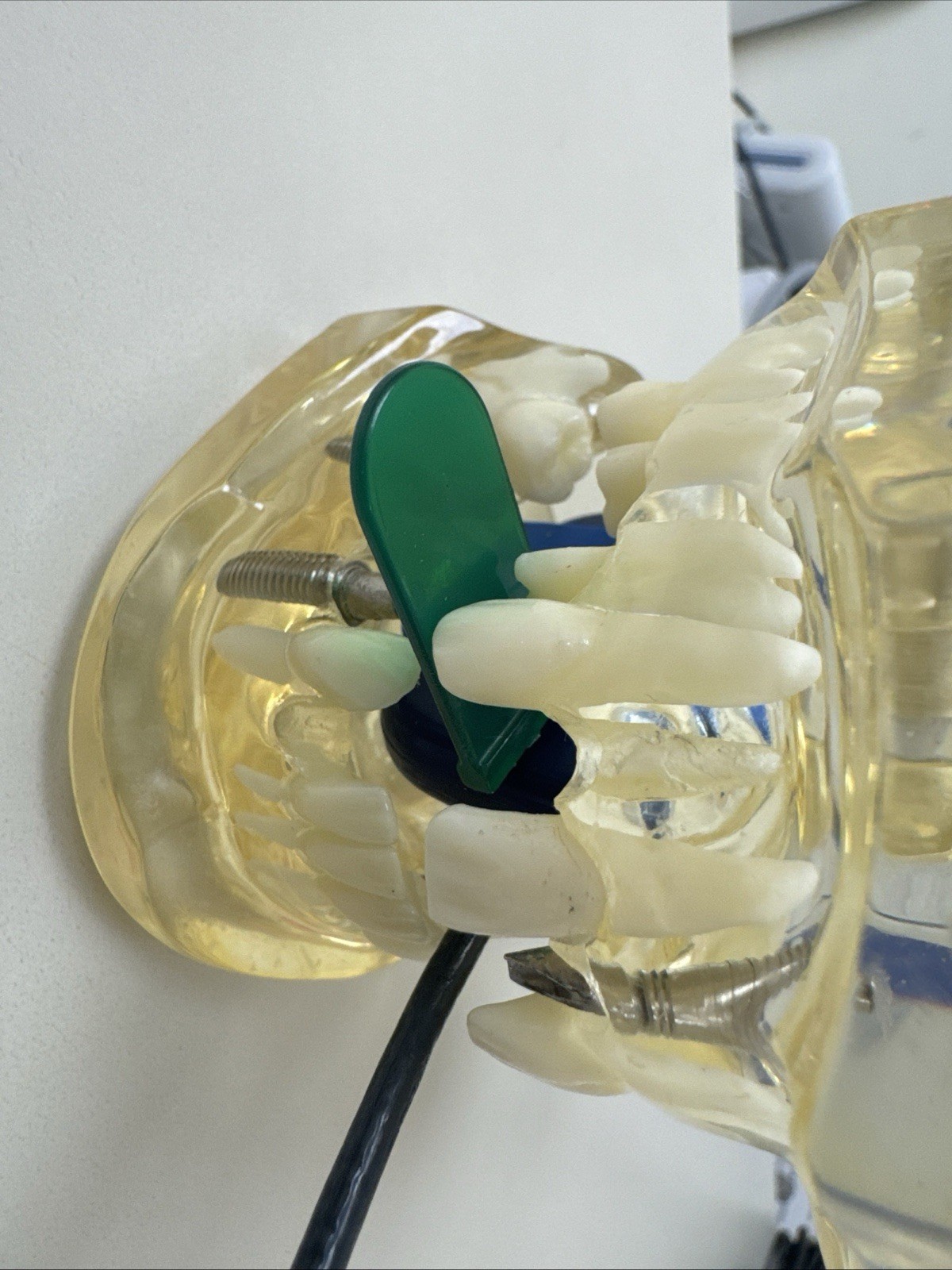 5 pcs Autoclavable - Apical/Bitewing Adult Digital Sensor Positioner-Holder