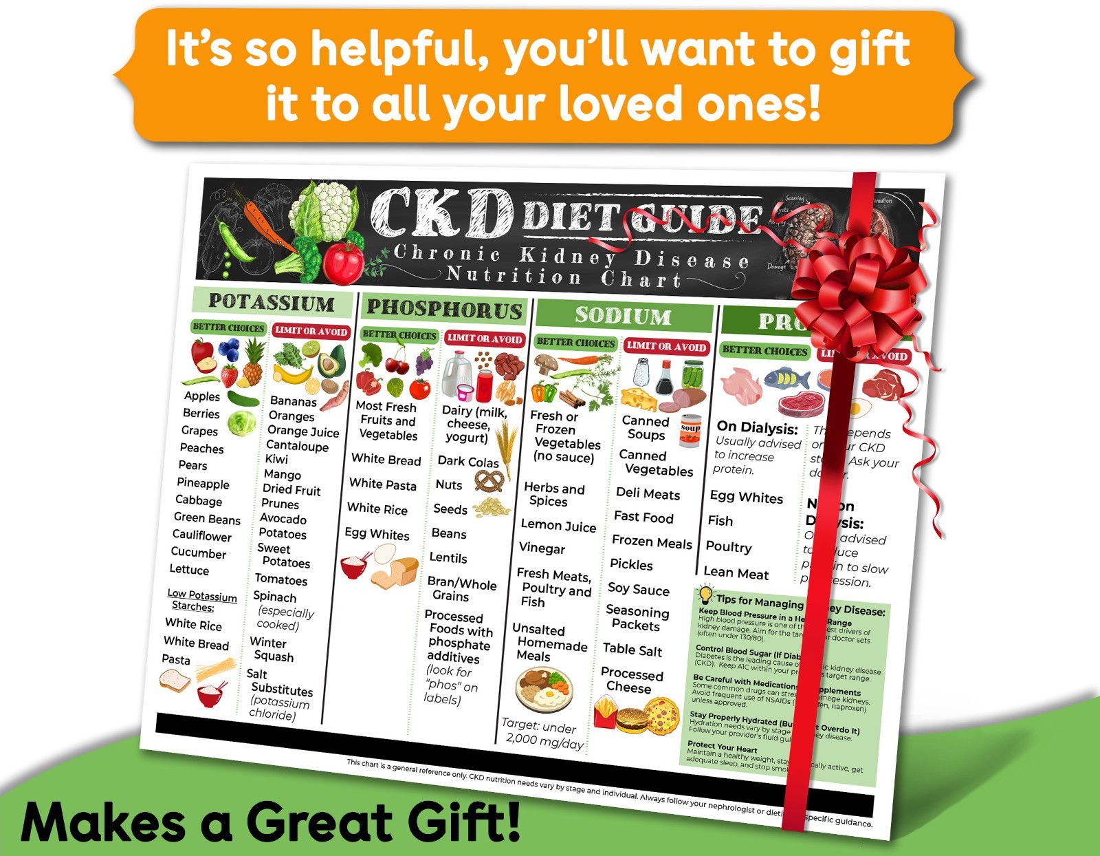 CKD Diet Guide 8.5x11 Kidney Friendly Food Chart Renal Nutrition Ref Poster Arts