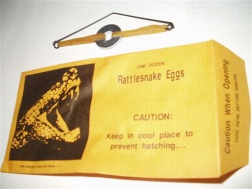 (3) RATTLESNAKE EGG PRANK ENVELOPES - Funny Joke Gag Noise Maker Trick