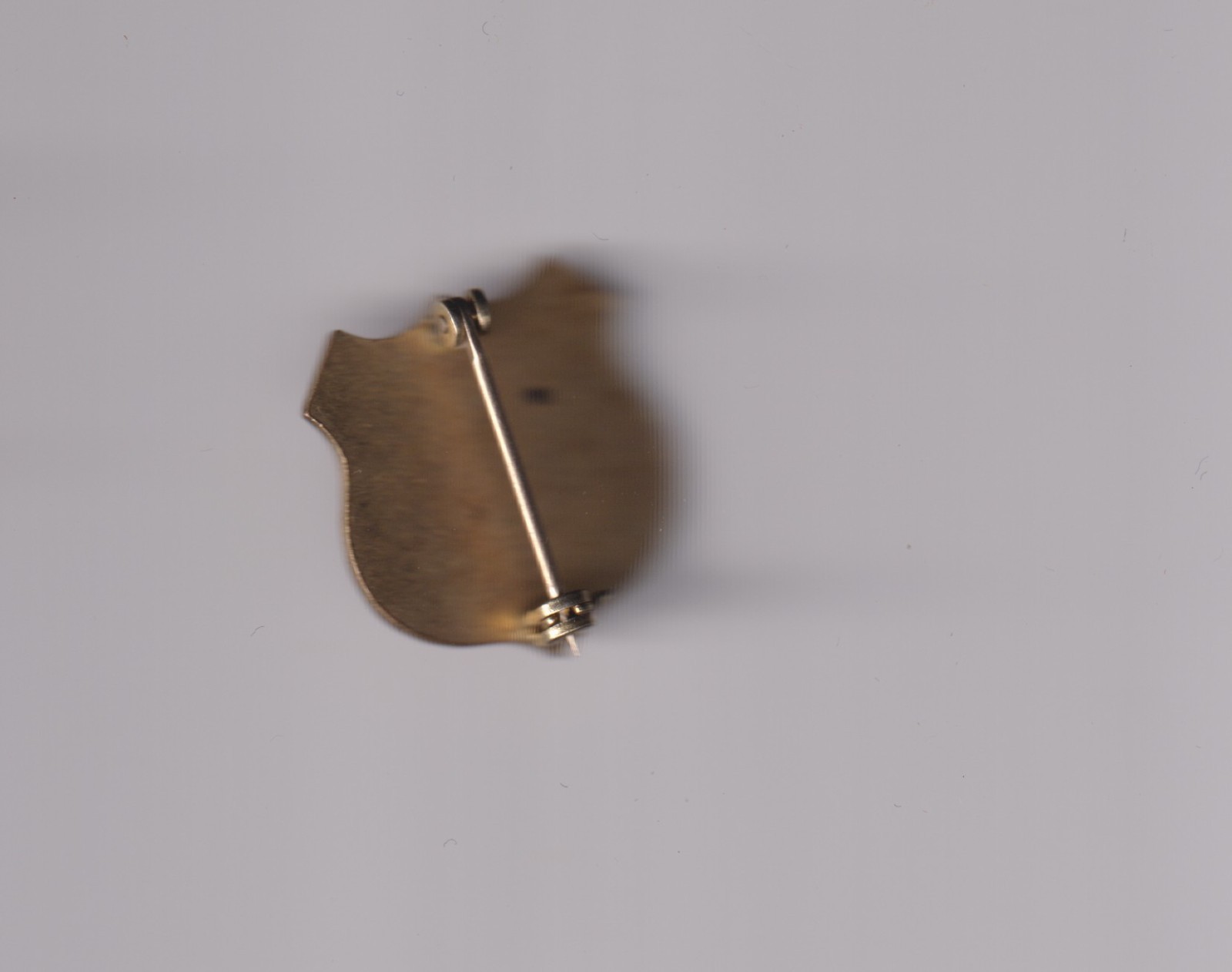 Ports of Embarkation patch type distinctive insignia DI NCBU unit crest WWII