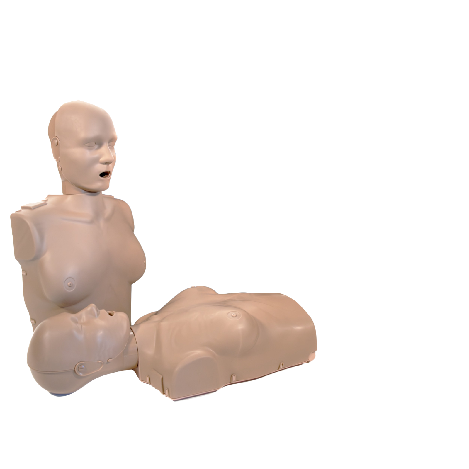 PRESTAN Professional Adult Female Manikin with CPR Feedback-Single (Dark Tone)