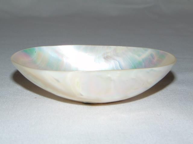 Natural Vintage FRESH WATER CLAM Polished Seashell, From Kanchanaburi, Thailand