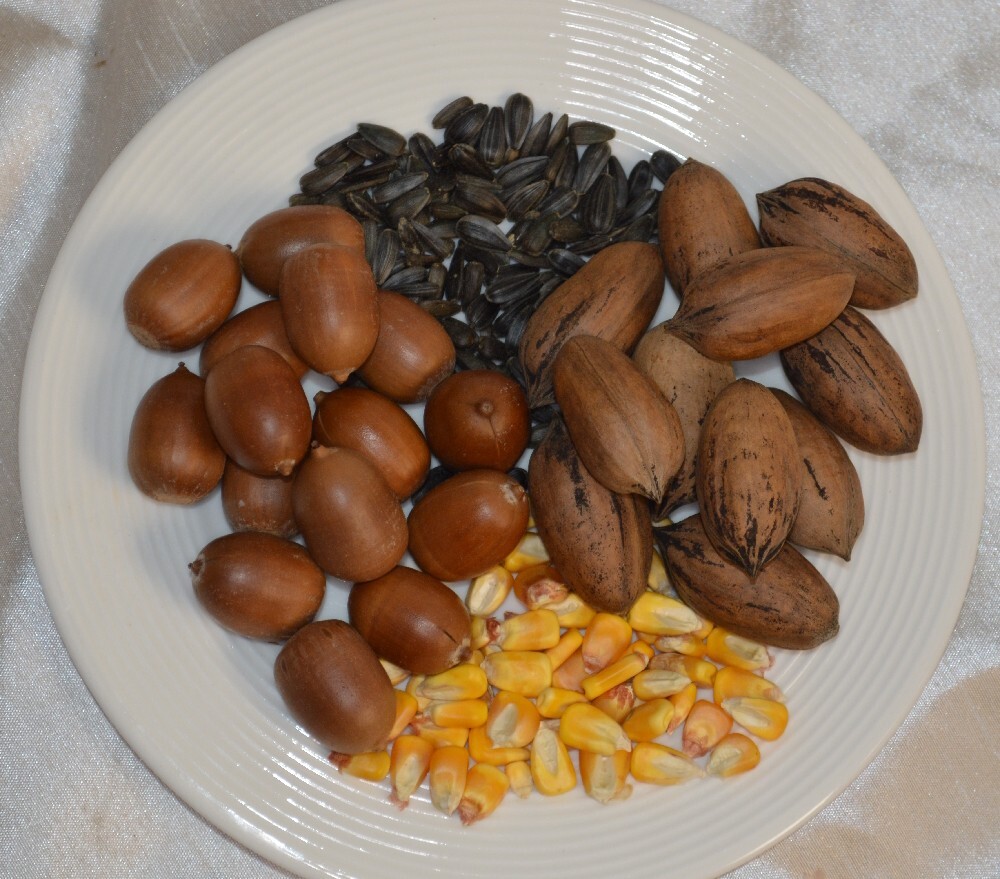 2 LBS Utah Acorn, Utah Pecan, Black Sunflower Seed and Corn Wildlife Feed Mix
