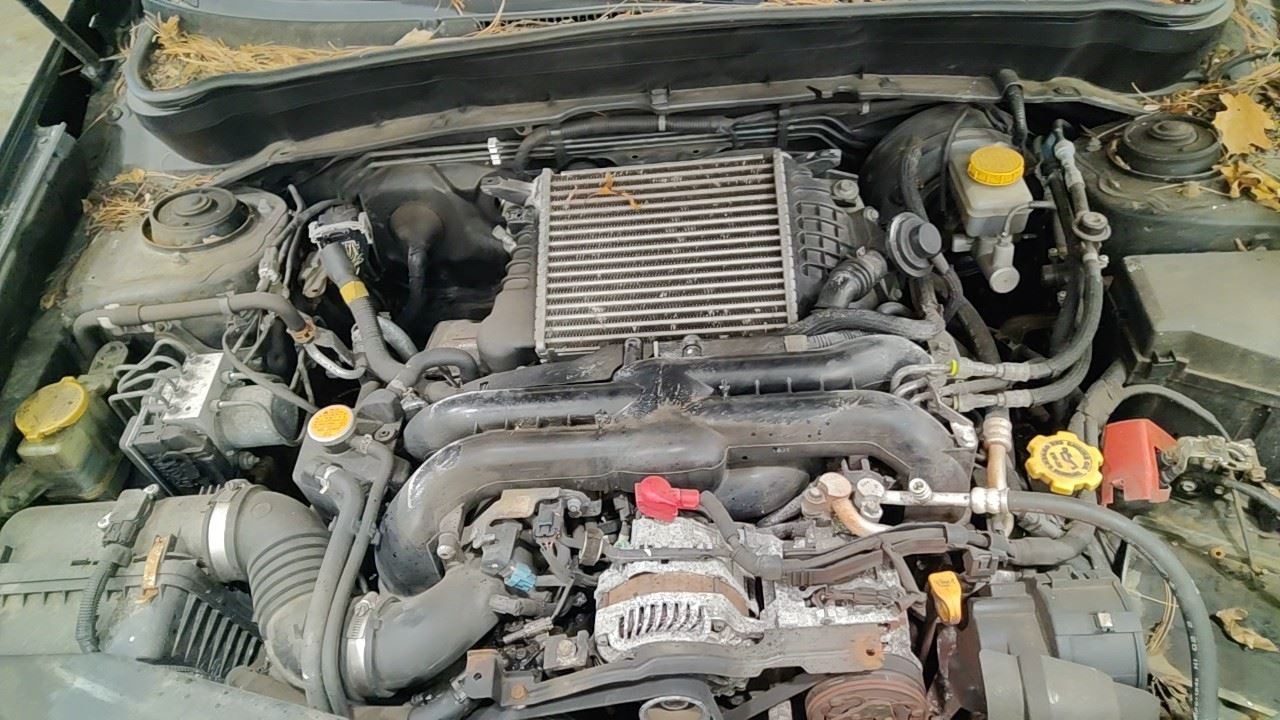 (LOCAL PICKUP ONLY) Roof Glass Fits 09-13 FORESTER 7016736