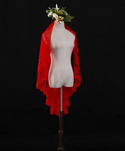 Wedding Bride Veil Beautiful Long Veil with lace at Edge Waist Length