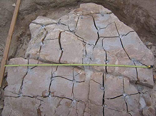 Dexpan Expansive Demolition Grout 11 Lb. Bucket for Rock Breaking, Concrete