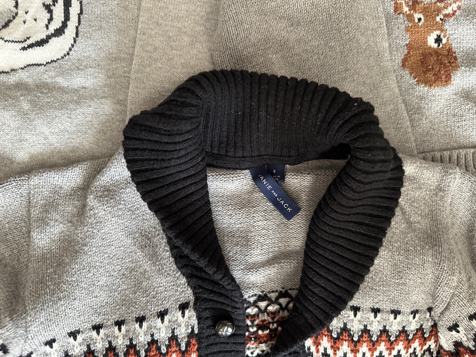 Mixed Clothes Lot of 15 Pieces Boys Size 8-10 S-M Janie Jack Clothing