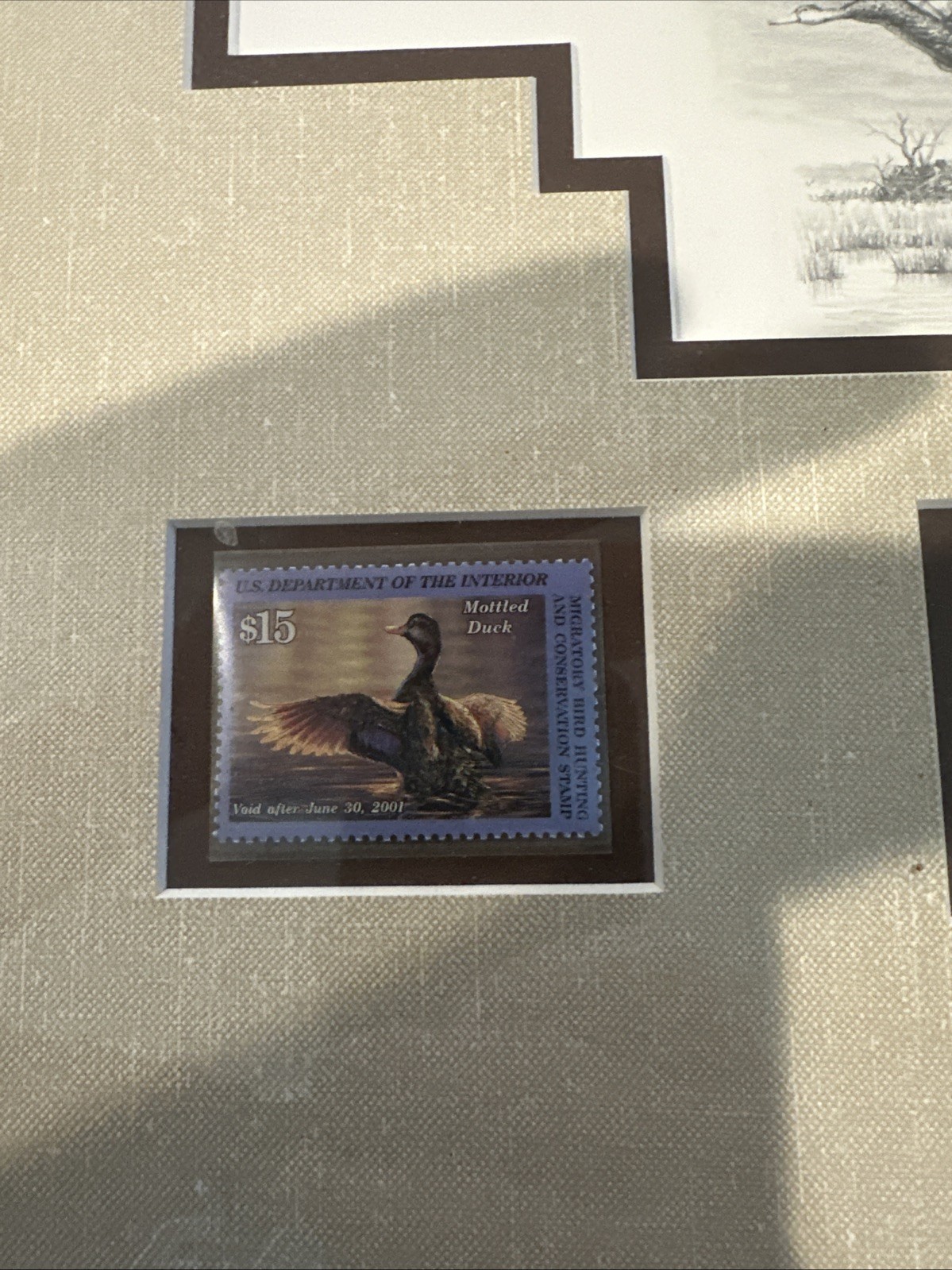 2000 - Federal Duck Stamp Print **ADAM GRIMM Exclusive Edition 42/350