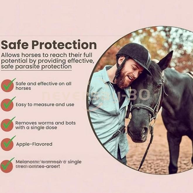 10 Pack Horse Dewormer Paste Apple Flavor EXP 10/2027 Discount Price NEW