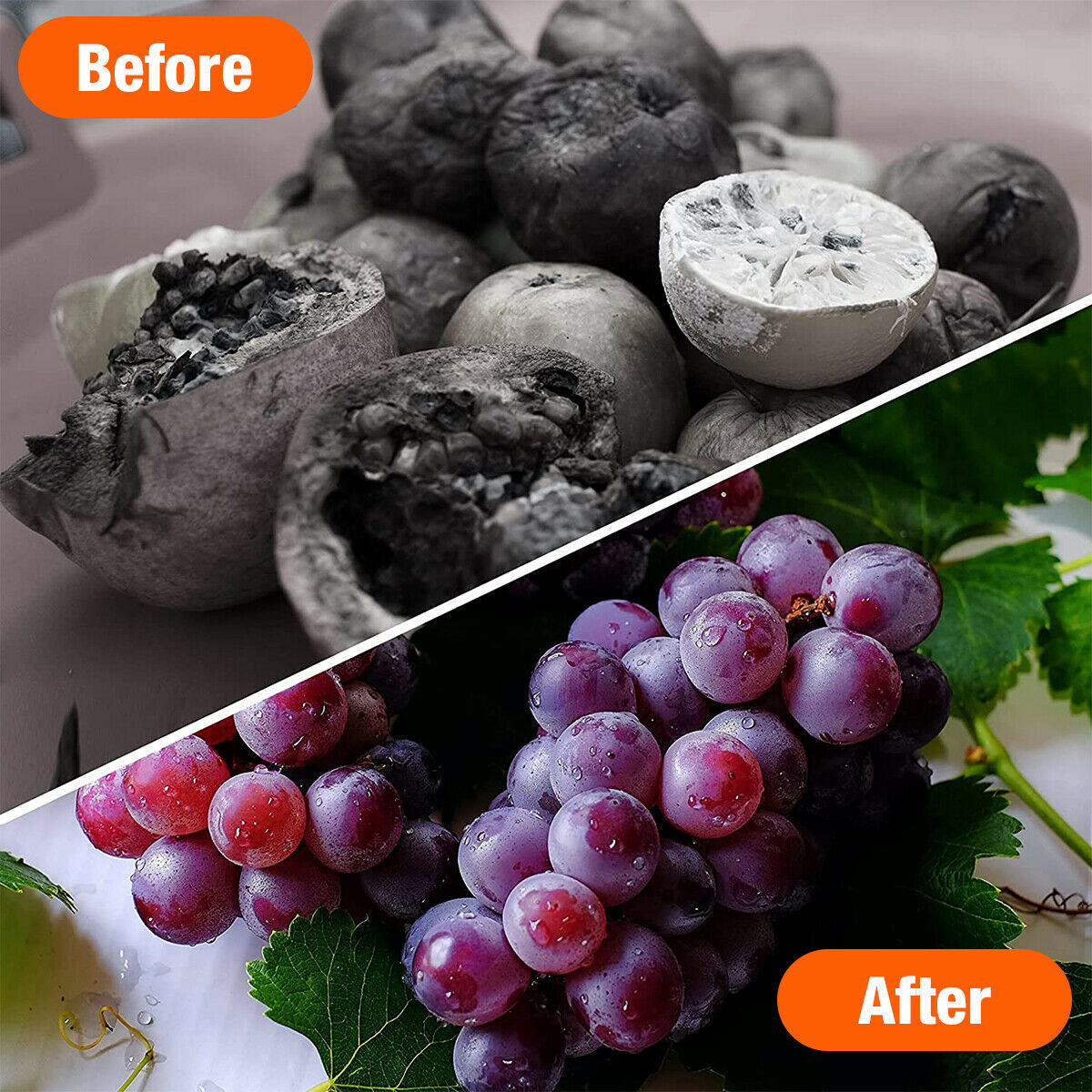 100/200PCS Grape Protection Bags Fruit Vegetable Mesh Bag Anti Insect Waterproof