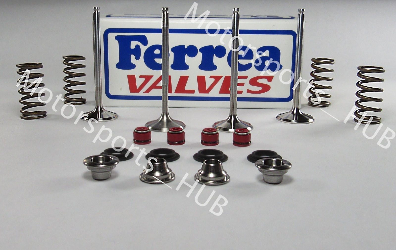 Ferrea Intake & Exhaust Valves Ti Spring Kit Seals Suzuki DRZ400 DRZ Z400 DVX
