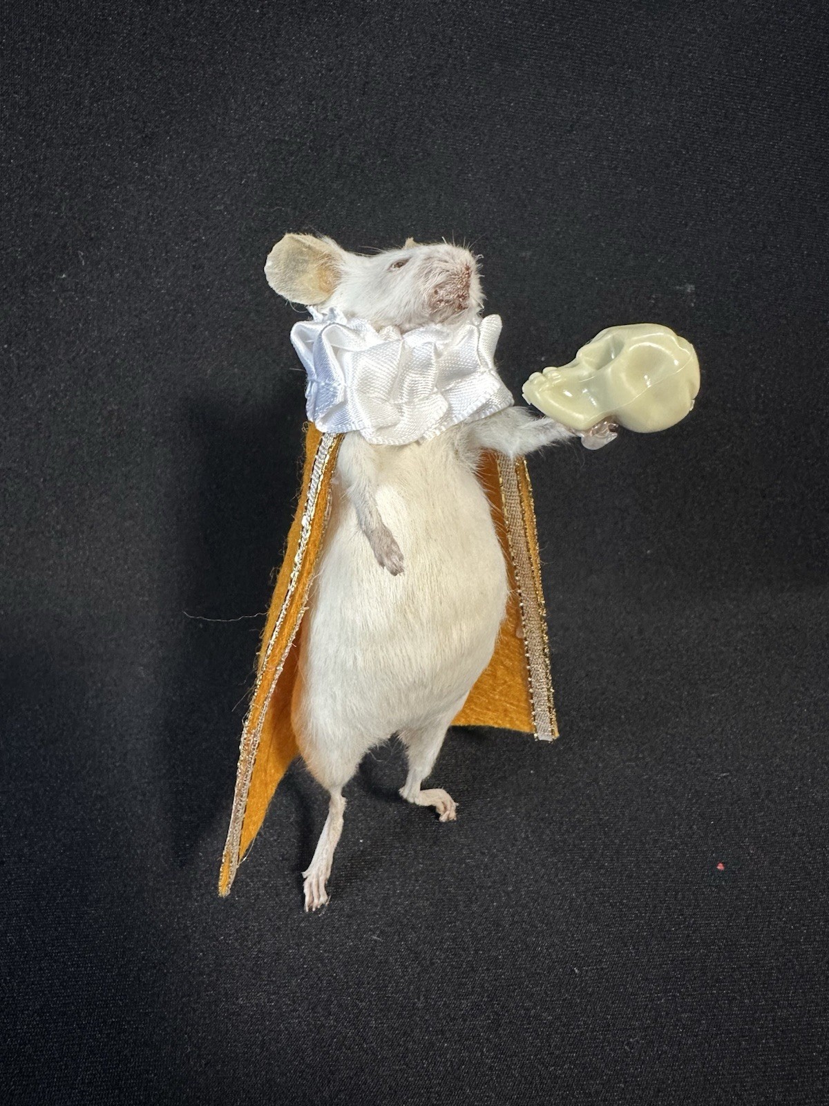 Taxidermy Mouse Hamlet Mouse Oddities Curiosities Taxidermy Art