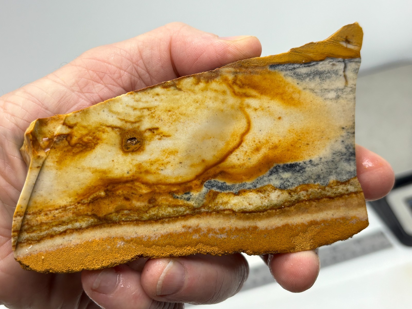 Disaster Peak Picture Jasper Slab Cabbing Lapidary Collecting Combo Ship Avail