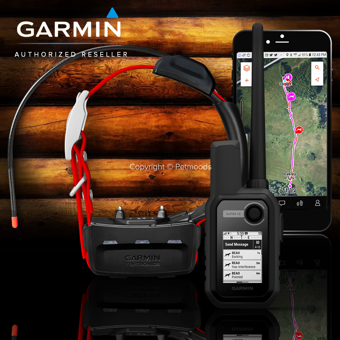 Garmin Alpha 10 Bundle TT15X Dog Device GPS Collar Tracking and Training
