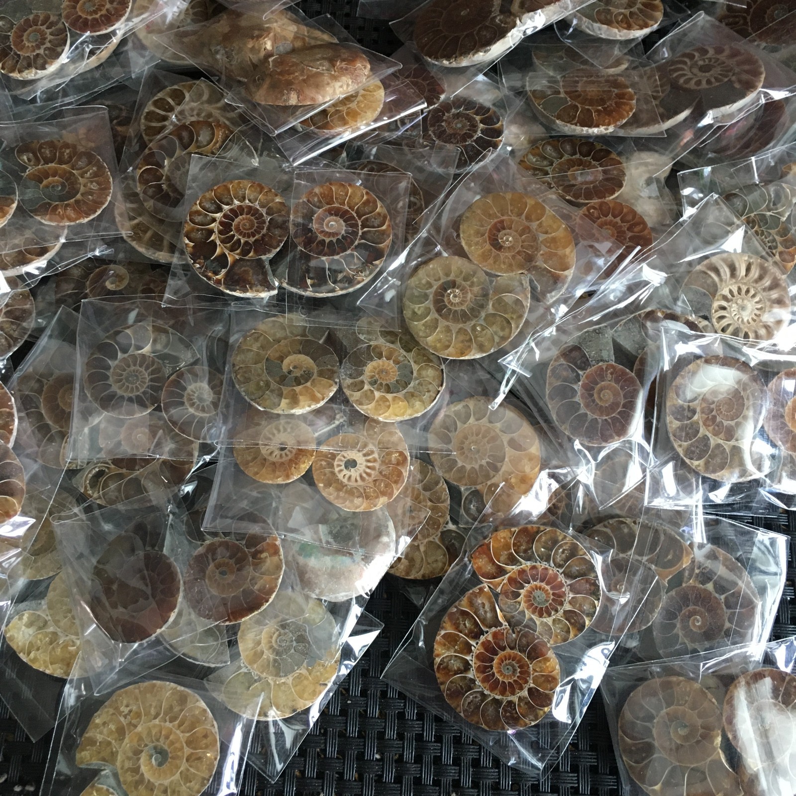 100 pair of Split Ammonite Specimen Shell Healing Madagascar 01