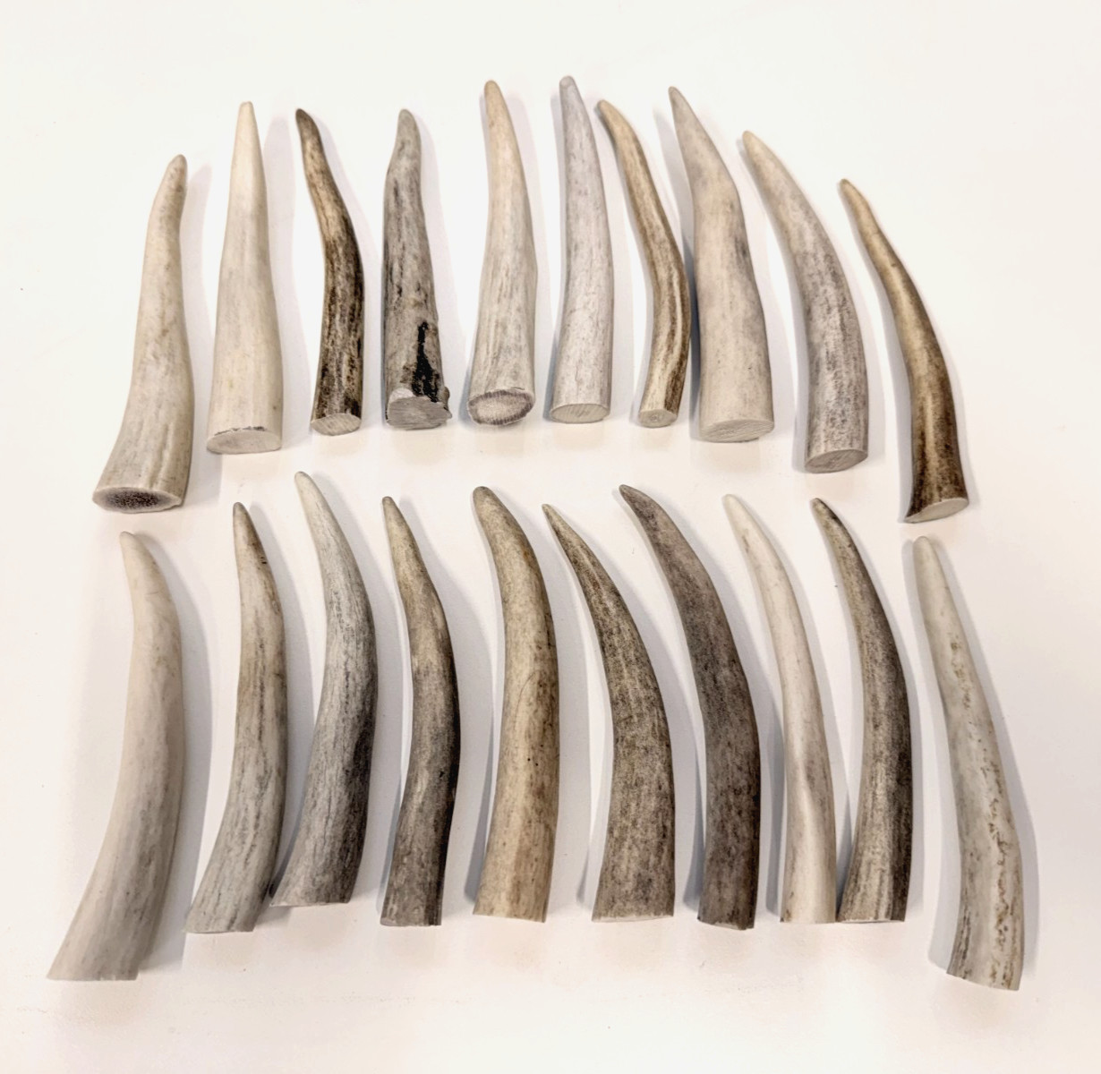 Deer Antler Tips (4"), Rustic Ornaments, Natural Jewelry Supplies (10 pc)