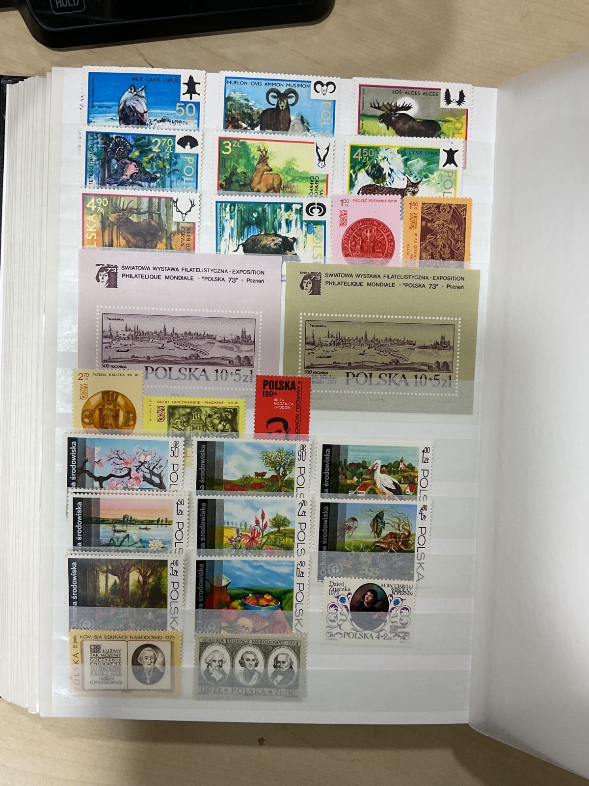 Poland stamps. Mostly mint. stock book. G/40