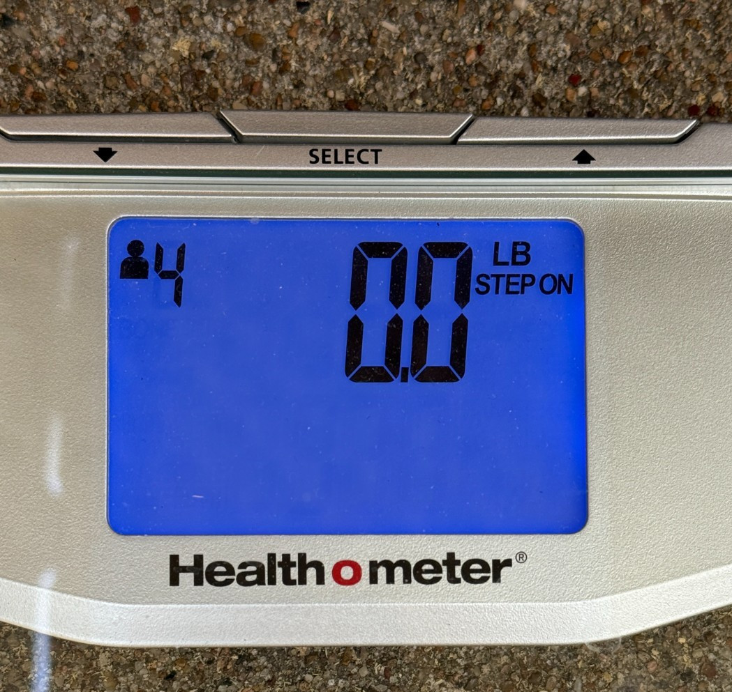 LARGE 30.4 lb Texas Flint Edwards Plateau Chert Nodule Garden City TX Knapping