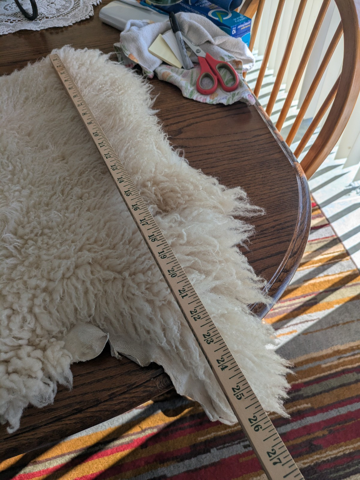Champagne Color Curly Sheepskin Rug or Throw ,100% Natural Sheepskin