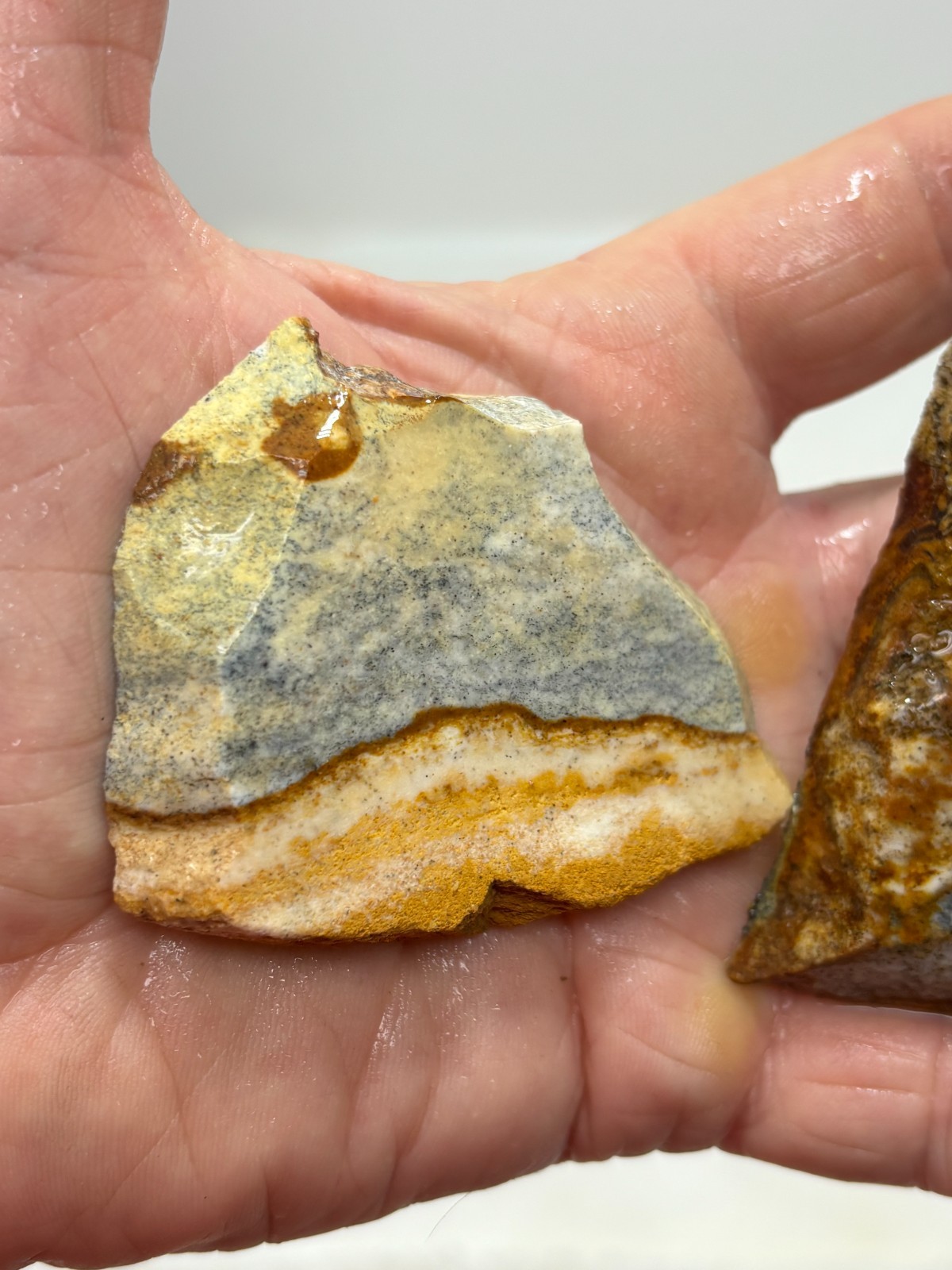 Disaster Peak Picture Jasper Cabbing Lapidary Collecting Combo Ship Avail