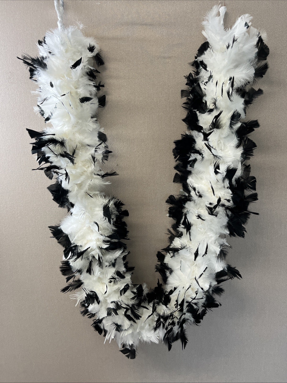 Black tipped White chandelle feather boa 72” D0123303