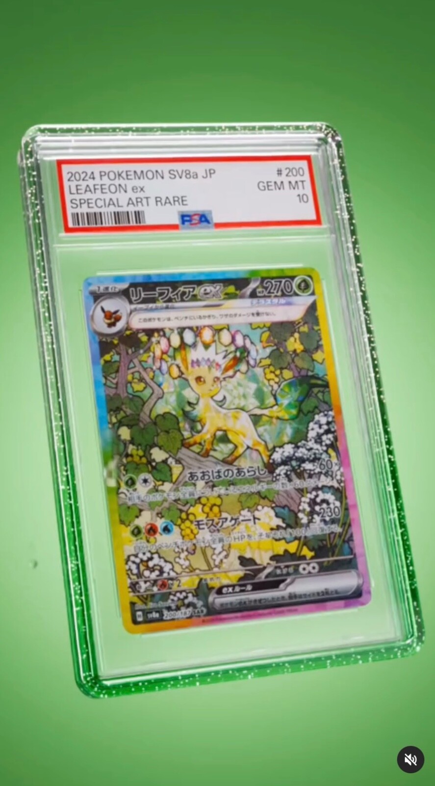 GradedGuard PSA Graded Card Case Guard Protector MELON Limited Edition