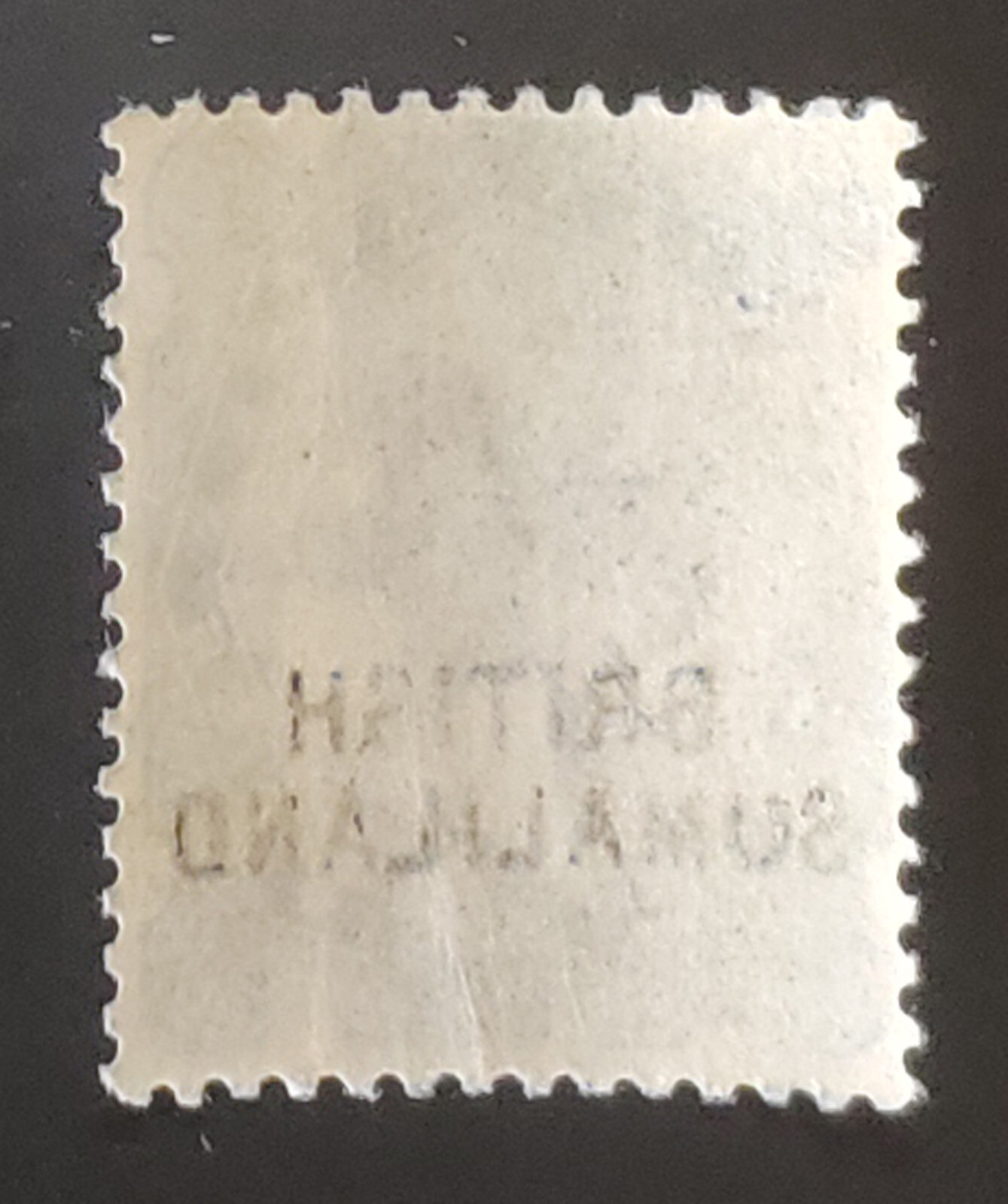 BRITISH SOMALILAND. QV. 1903. RARE ERROR! 2½a with "SUMALILAND" ovpt MLH. SG 18b