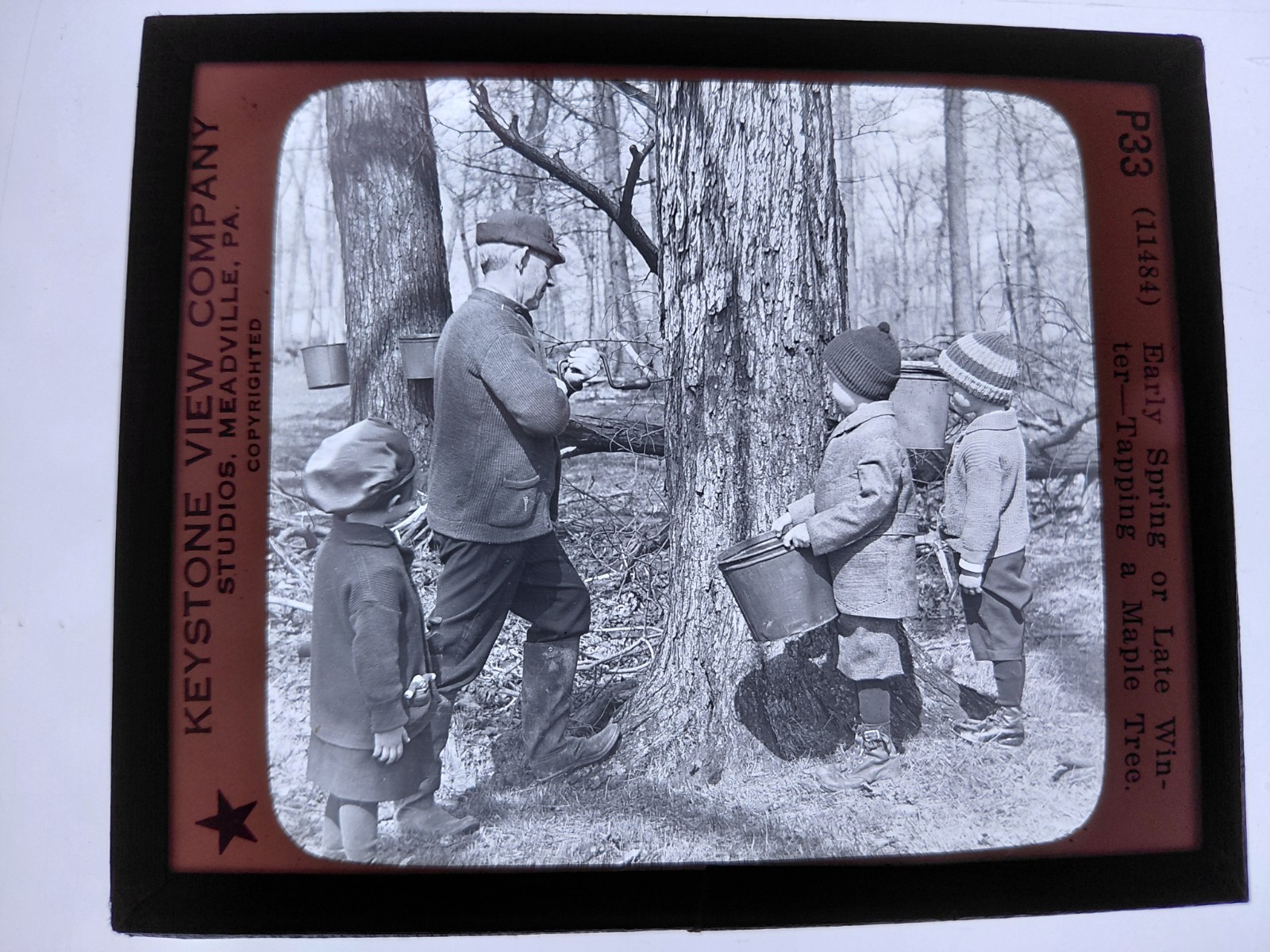 Magic Lantern Glass Slide Photo Keystone P33 Tapping Sugar Maple Tree Ohio