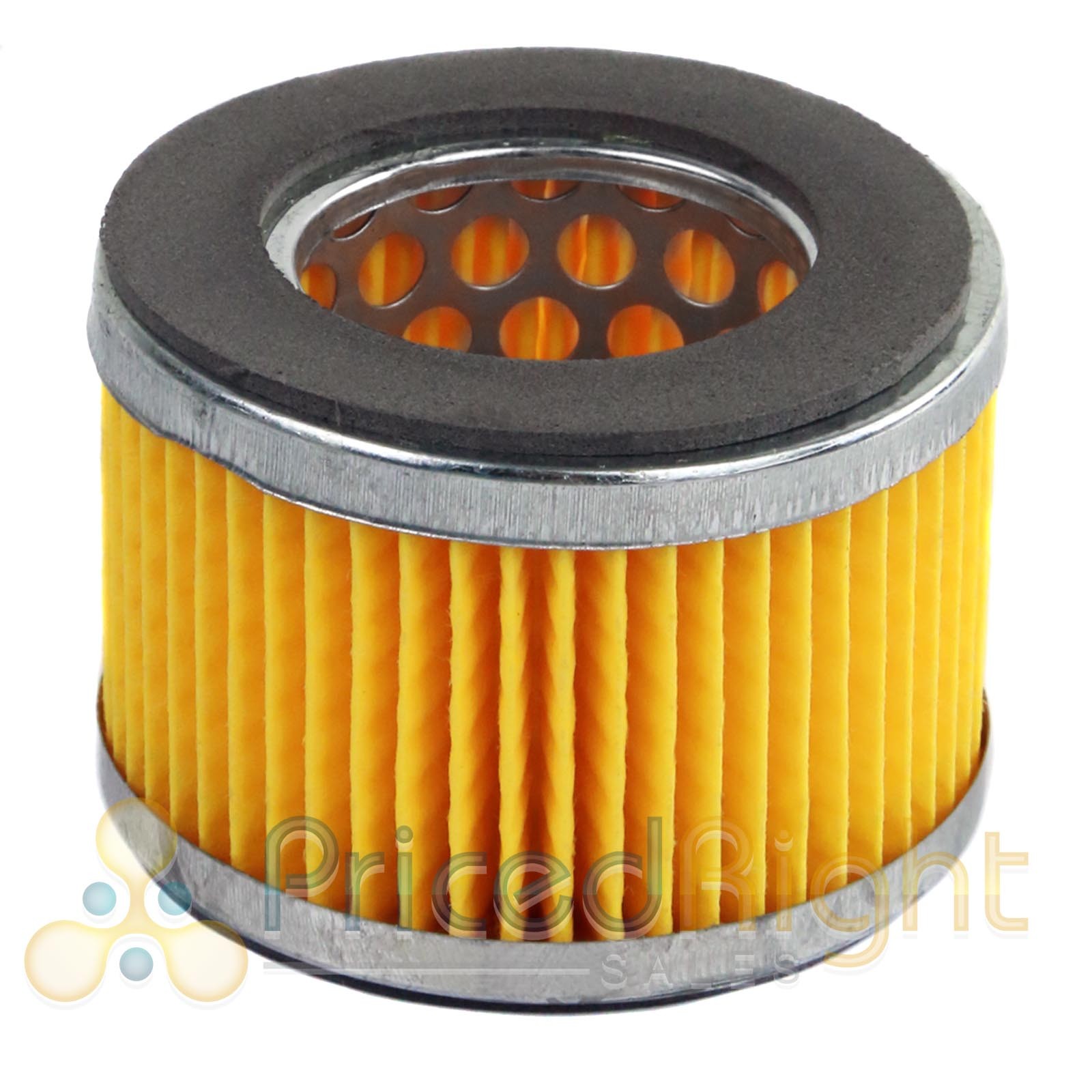 3/4" Replacement Puma Air Compressor Intake Filter and Housing