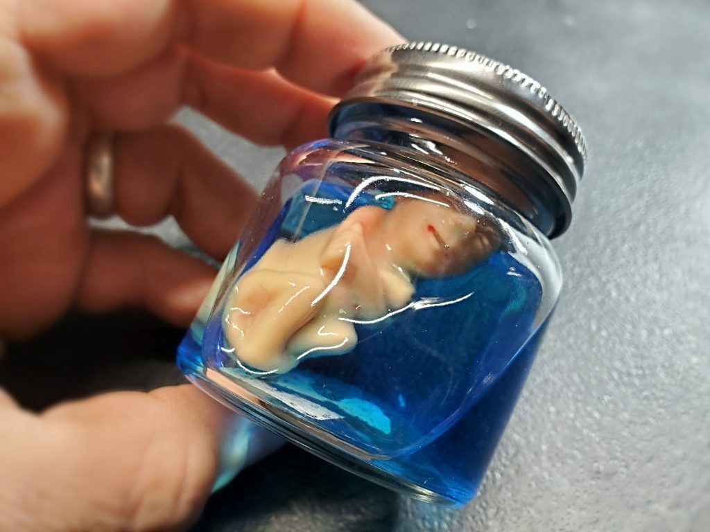 3 Rubber Fetus Set, Baby Fetal Model, Weird, Medical, Oddities, Curiosities