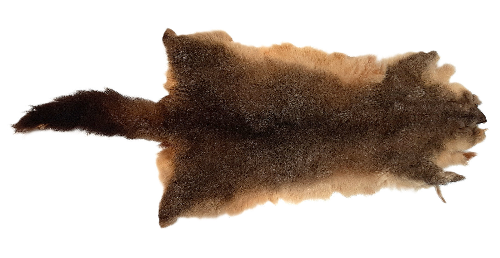 Brush-tail Possum, Dressed - Soft & Plush Fur - Natural Color