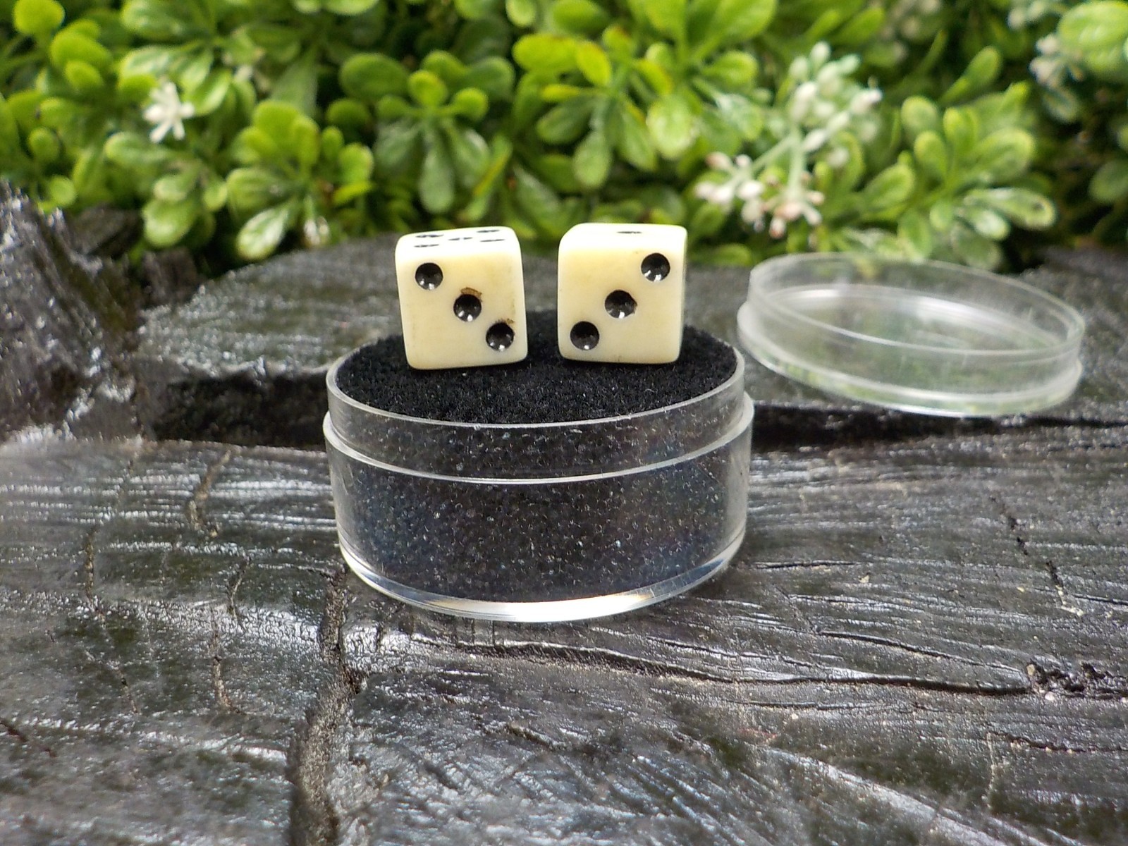 Old Rare Vintage Antique Civil War Relic Bone Dice Extremely Rare with Free Case