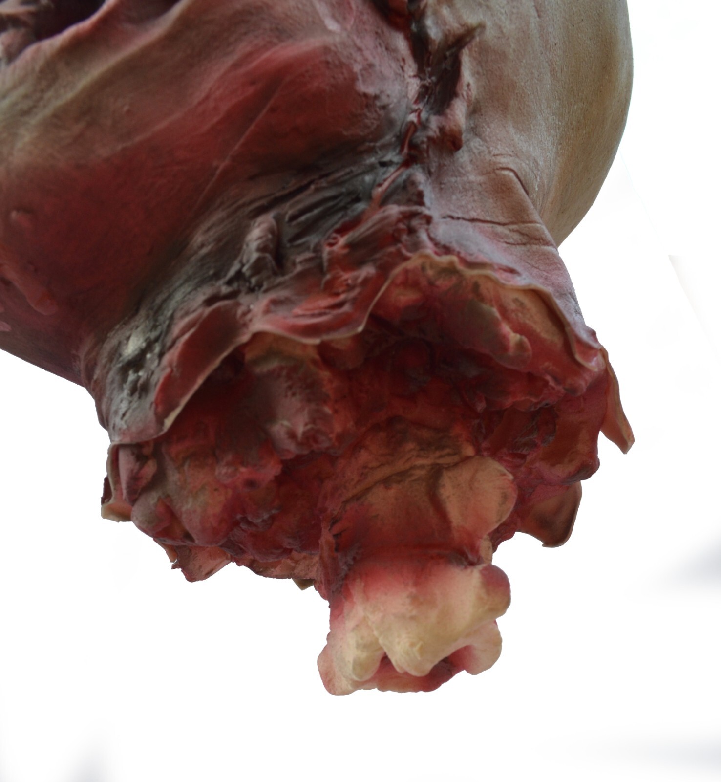 Life Size Halloween Props Scary Walking Dead Zombie Rotten Chained Head