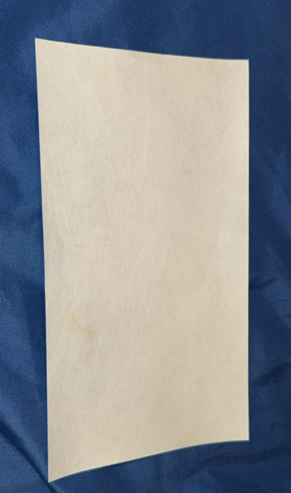 DISNEY ORIGINAL CAST MEMBER PROP ~Jungle Cruise Telegram Letter ADVENTURELAND