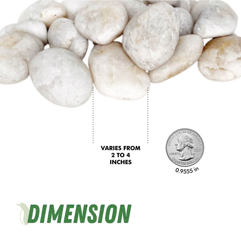 5 lb Decorative White River Rocks Pebbles for Plants Aquarium Stones (1-3")