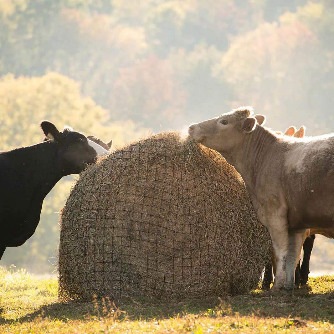 Texas Haynet Livestock Round Bale Net