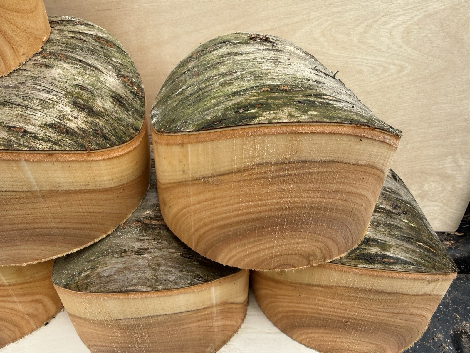 Rare Unique Natural Edge Peach Turning Wood Bowl Blank Lathe 6”x4”