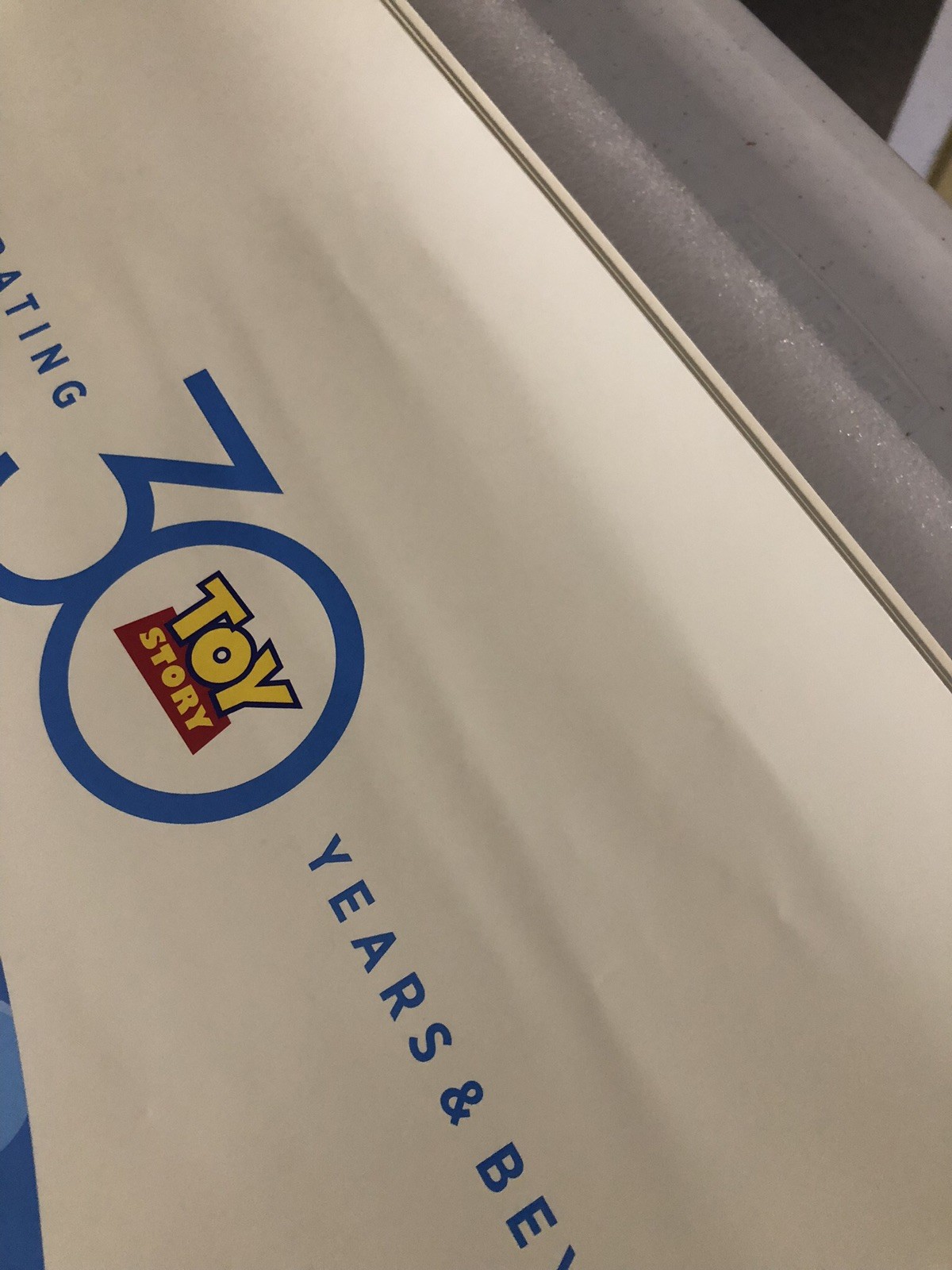 TOY STORY 30TH Anniversary Original DS Double Sided 27X40 Movie Poster Exc Cond