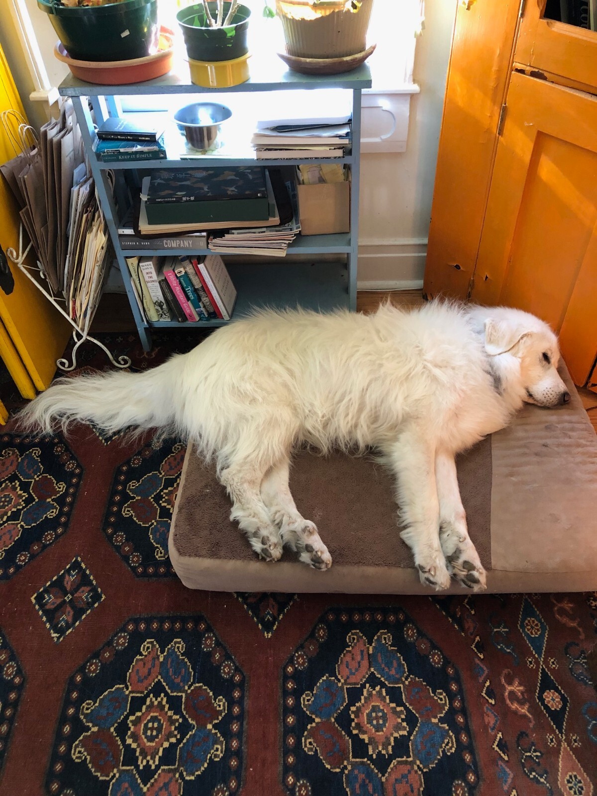 Antique Plains Indian Native American Carved Catlinite Stone Peace Pipe Bowl 7”