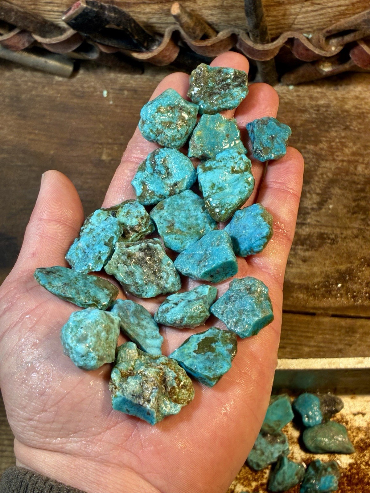 1 Lb. Ithaca Peak, Real Turquoise! Electric blues! High in matrix. ❤️‍🔥3 Left!