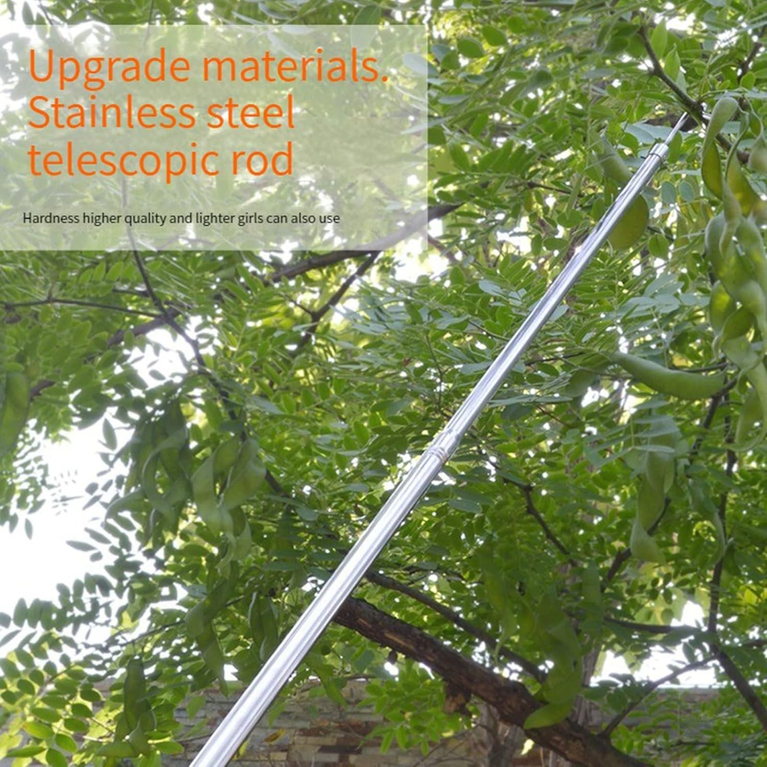 Extendable Fruit Picker 1.9m, Telescoping Harvest Tool for Tree Picking