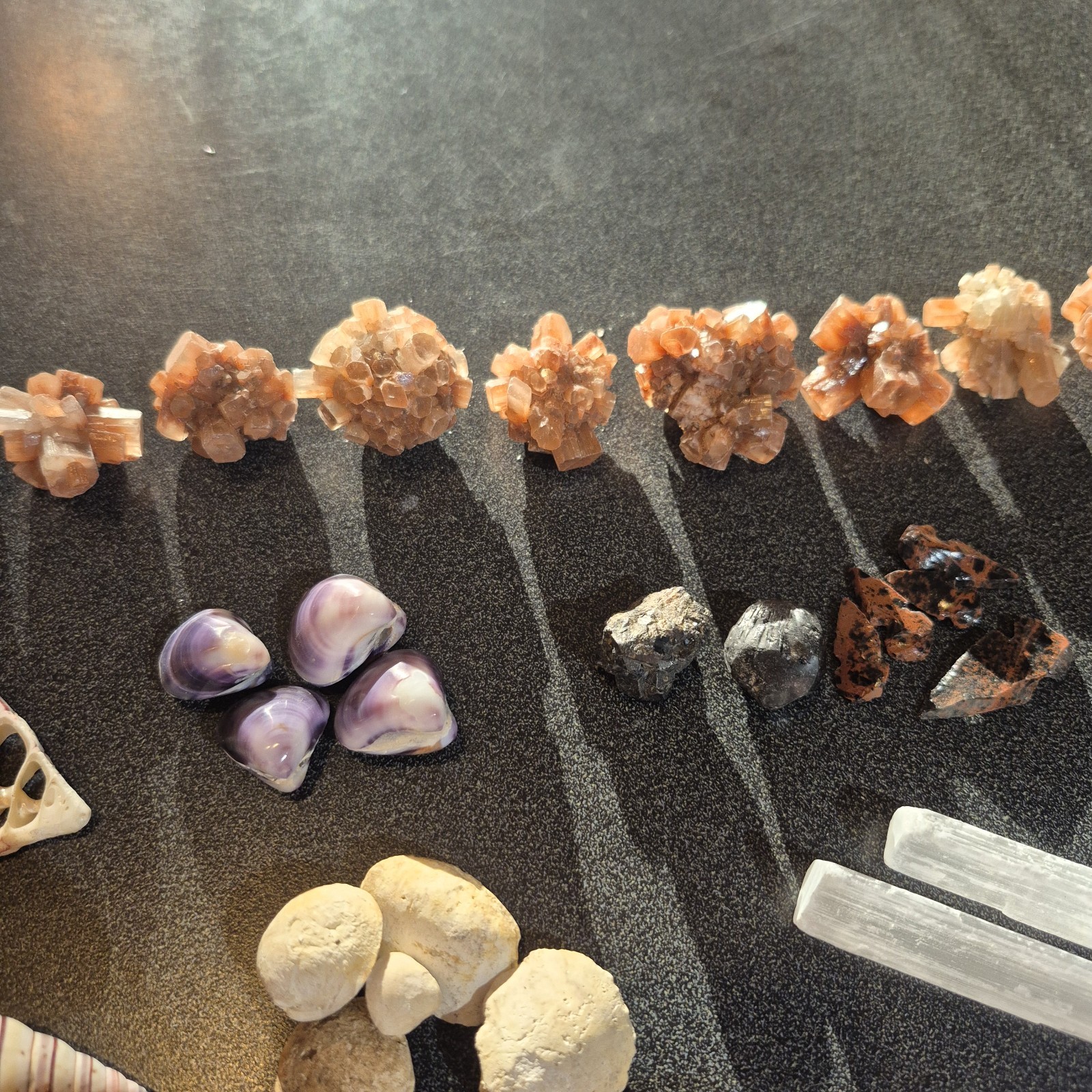 Ammonite Fossils, Crystals, Mineral Specimens, Shells, Cabochons Mixed Lot