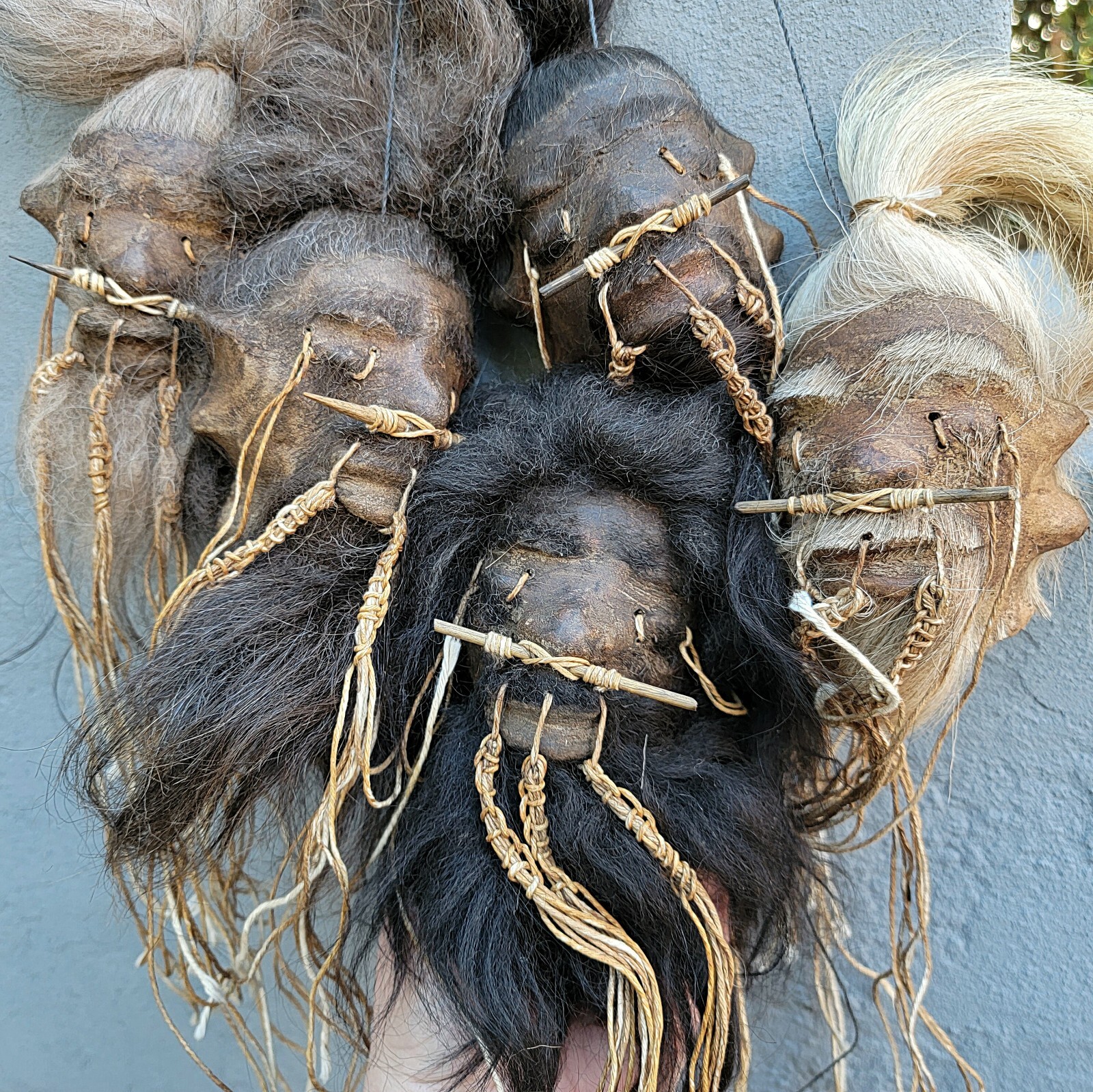Shrunken Head, Oddities Curiosities, Real Leather and Hair, Medium, Lama alpaca