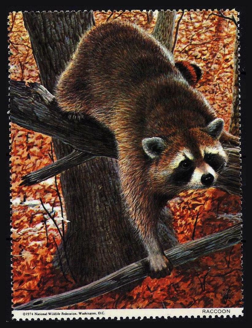National Wildlife Federation Stamp - 1974 MNH - Raccoon