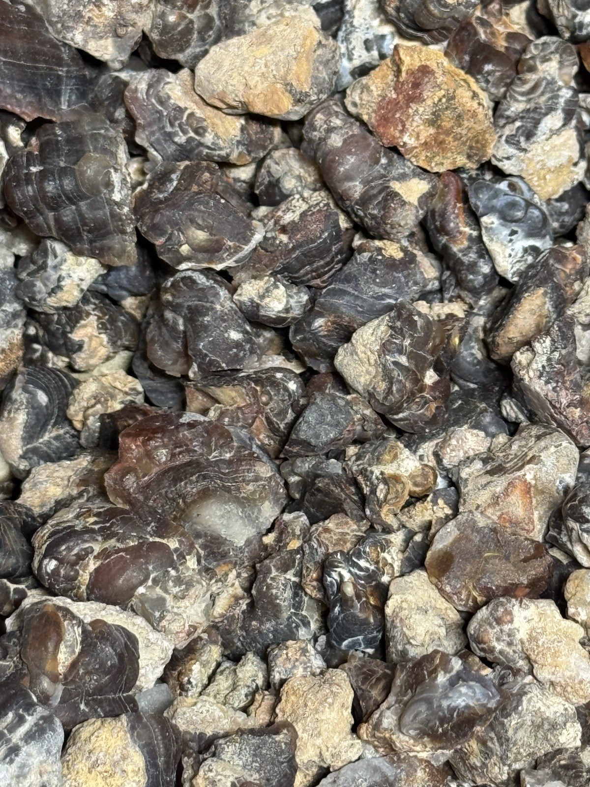 1/2 Lb Mid to Choice Grade Fire Agate Smalls Untreated Colorful Blind Grab Rough